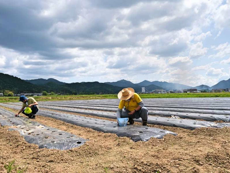 Samurai Jeans SWS-SC01 Japanese Cotton Sweatshirt Natural 25 Samurai Jeans SWS-SC01 Japanese Cotton Sweatshirt Natural