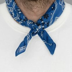 TCB Cat Bandana Blue