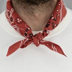TCB Cat Bandana Red 10 TCB Cat Bandana Red